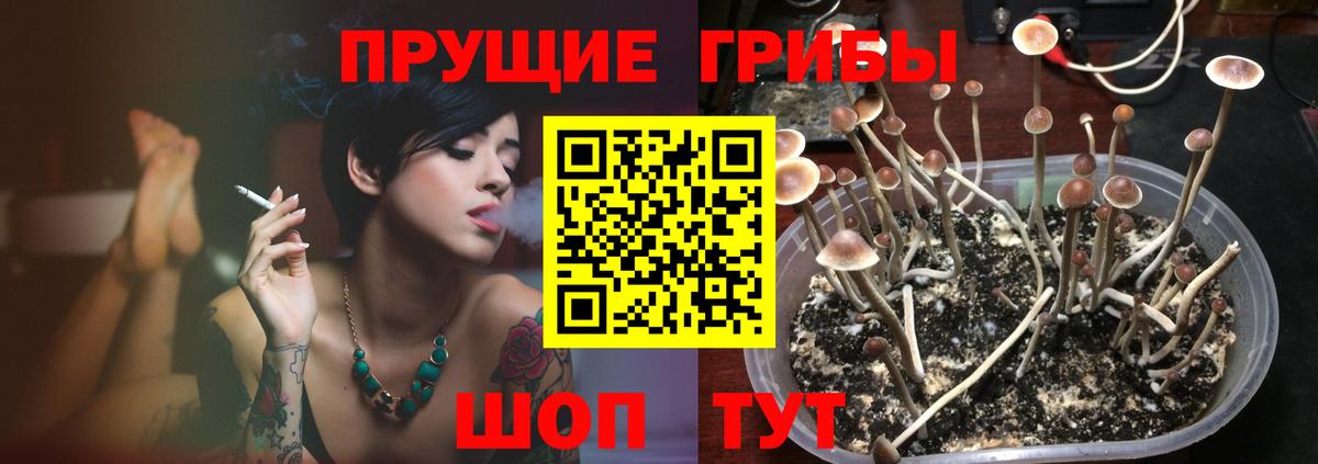Галлюциногенные грибы Psilocybine cubensis  Вход с VPN  Галлюциногенные грибы Magic Shrooms  Бирск 