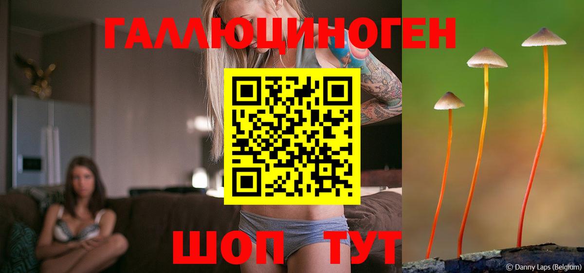 Галлюциногенные грибы прущие грибы Бирск
